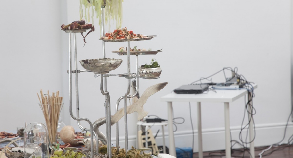 The Food, the Bad and the Ugly (or the Whys, Whats and Hows of The Domestic Godless)