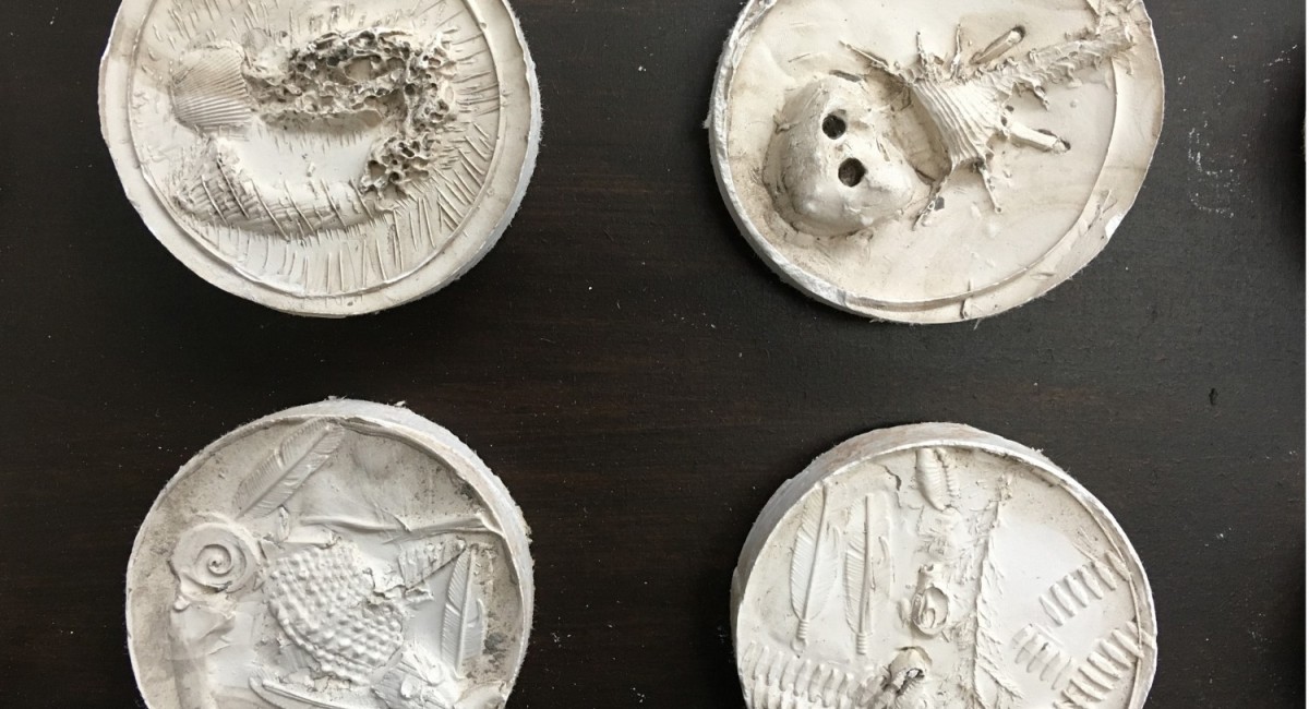 ‘Fossil’ Plaster Cast Workshops