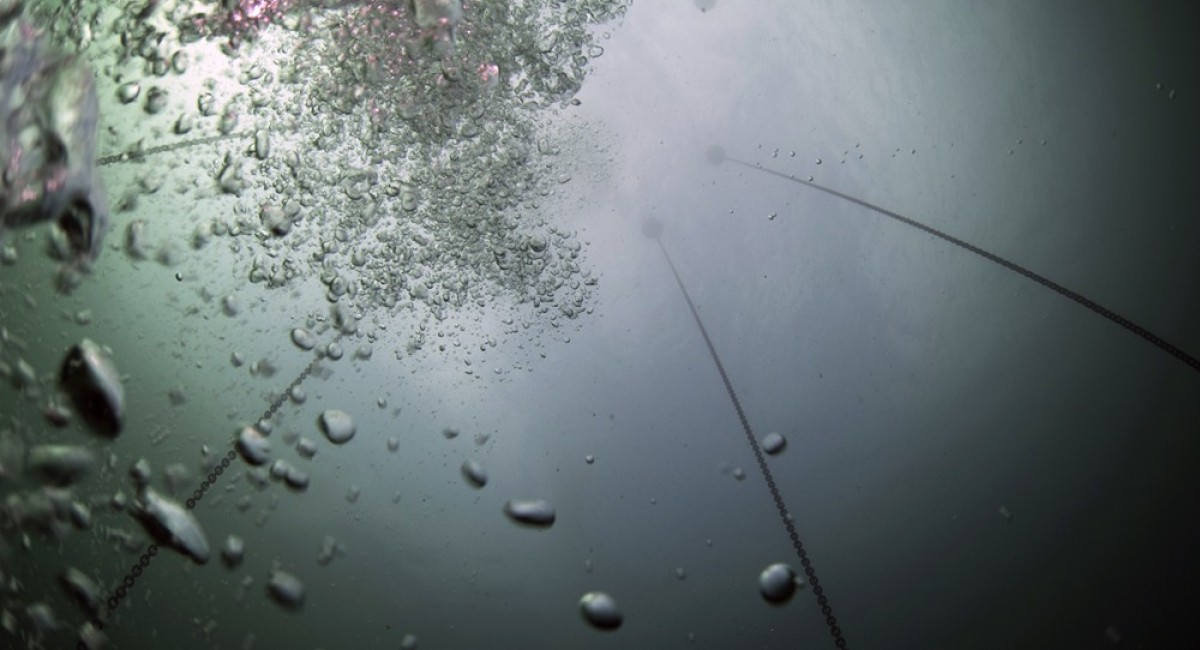 Stormglass workshop with Ruth Lyons